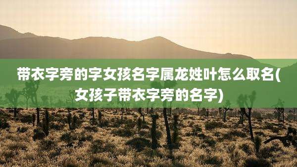 带衣字旁的字女孩名字属龙姓叶怎么取名(女孩子带衣字旁的名字)