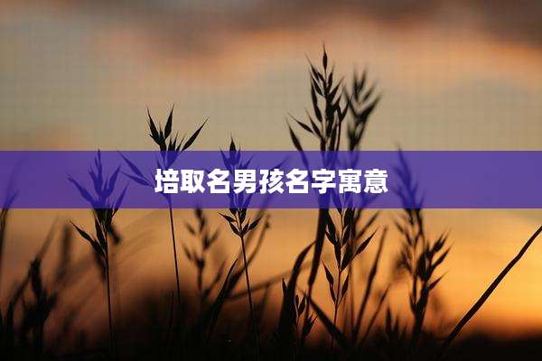 培取名男孩名字寓意