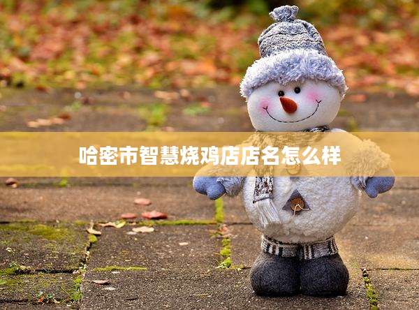 哈密市智慧烧鸡店店名怎么样