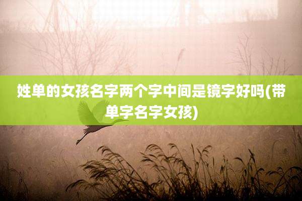 姓单的女孩名字两个字中间是镜字好吗(带单字名字女孩)