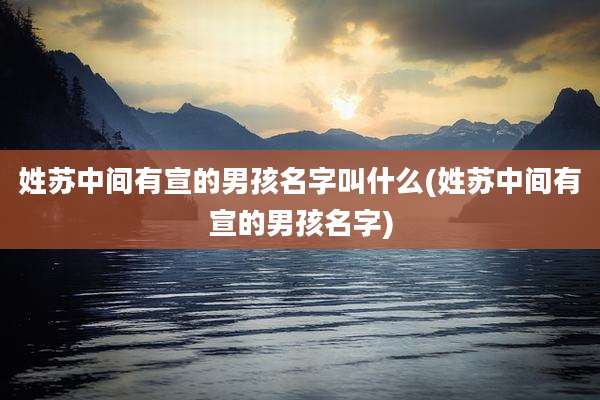 姓苏中间有宣的男孩名字叫什么(姓苏中间有宣的男孩名字)