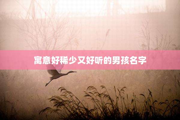 寓意好稀少又好听的男孩名字