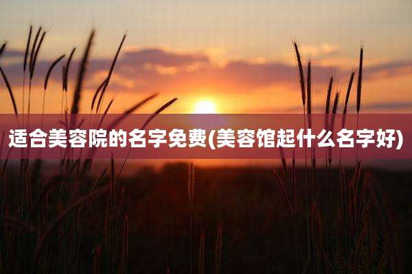 适合美容院的名字免费(美容馆起什么名字好)