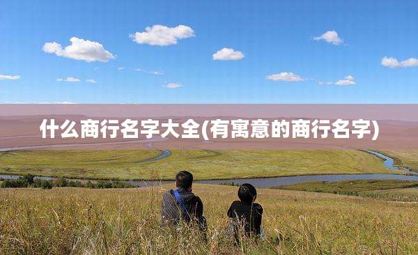 什么商行名字大全(有寓意的商行名字)