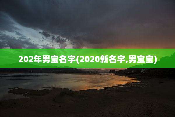 202年男宝名字(2020新名字,男宝宝)