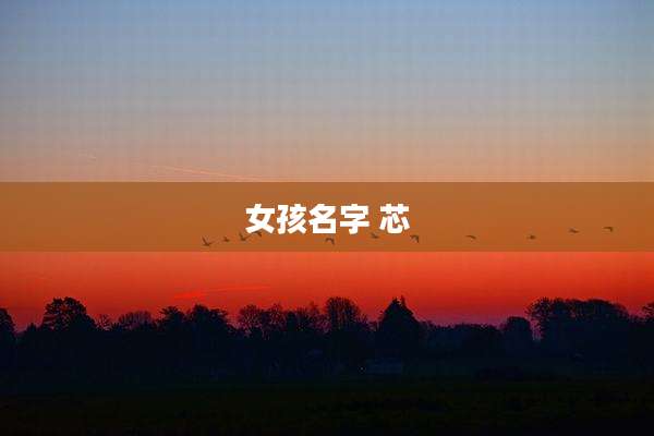 女孩名字 芯