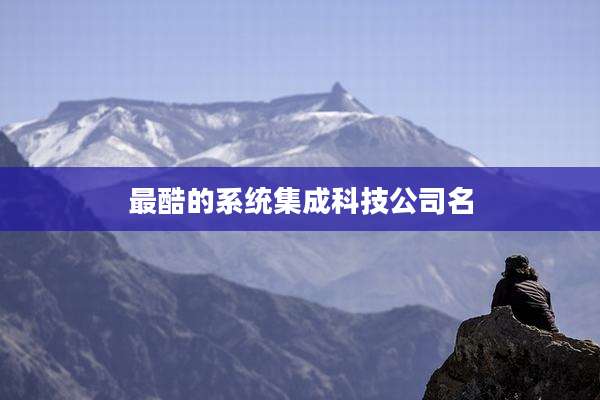 最酷的系统集成科技公司名