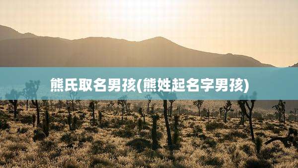 熊氏取名男孩(熊姓起名字男孩)