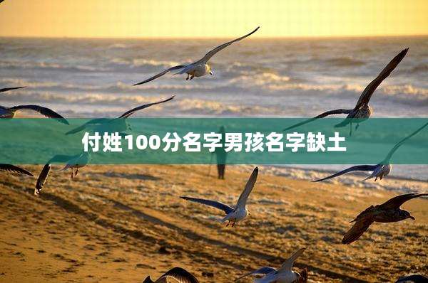 付姓100分名字男孩名字缺土