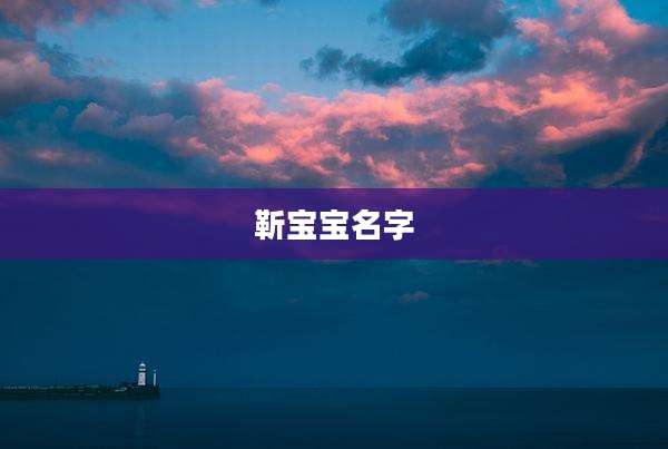 靳宝宝名字