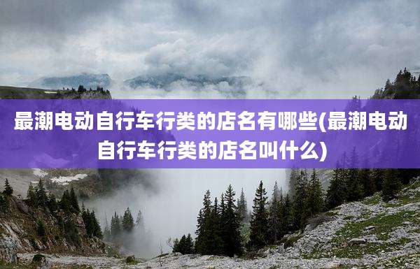 最潮电动自行车行类的店名有哪些(最潮电动自行车行类的店名叫什么)