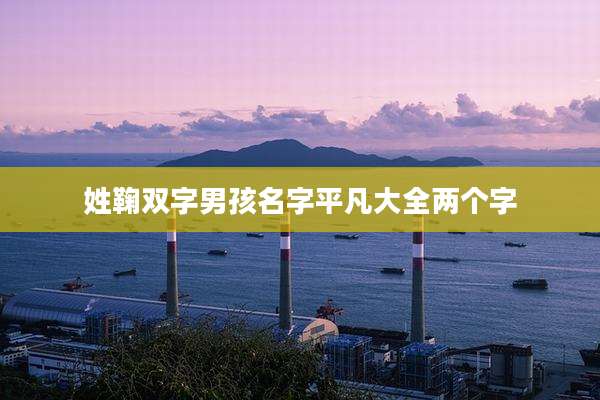 姓鞠双字男孩名字平凡大全两个字