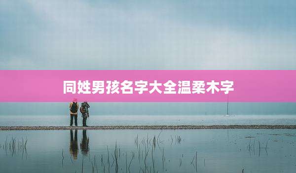 同姓男孩名字大全温柔木字