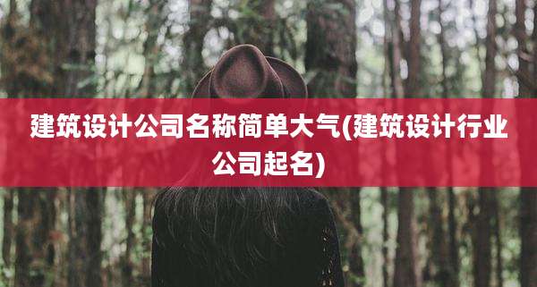 建筑设计公司名称简单大气(建筑设计行业公司起名)
