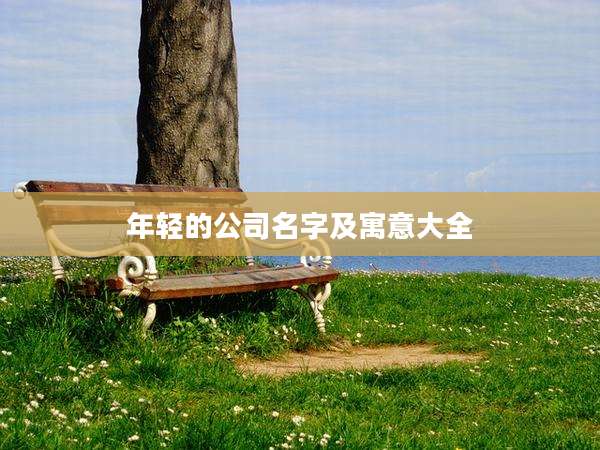 年轻的公司名字及寓意大全