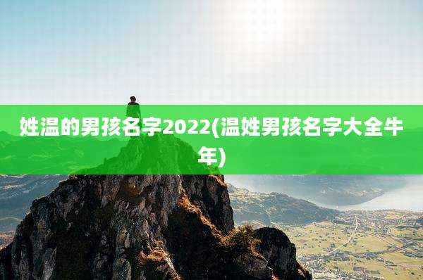 姓温的男孩名字2022(温姓男孩名字大全牛年)
