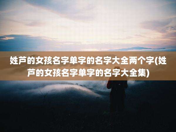 姓芦的女孩名字单字的名字大全两个字(姓芦的女孩名字单字的名字大全集)