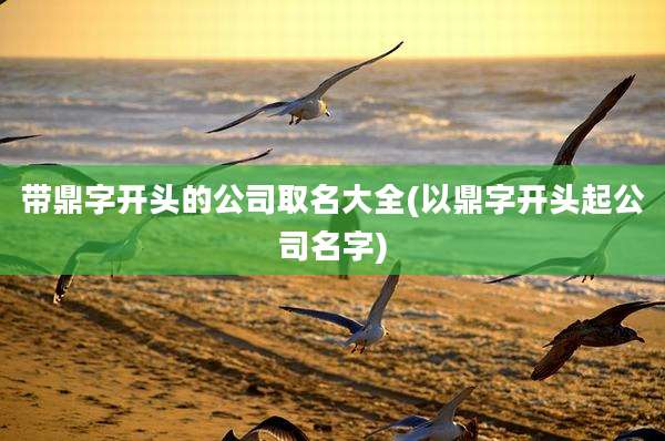 带鼎字开头的公司取名大全(以鼎字开头起公司名字)