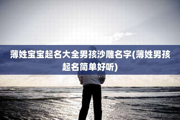 薄姓宝宝起名大全男孩沙雕名字(薄姓男孩起名简单好听)