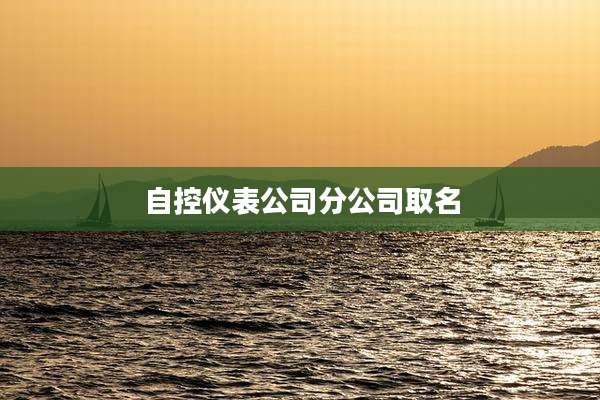 自控仪表公司分公司取名