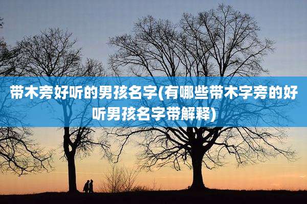 带木旁好听的男孩名字(有哪些带木字旁的好听男孩名字带解释)