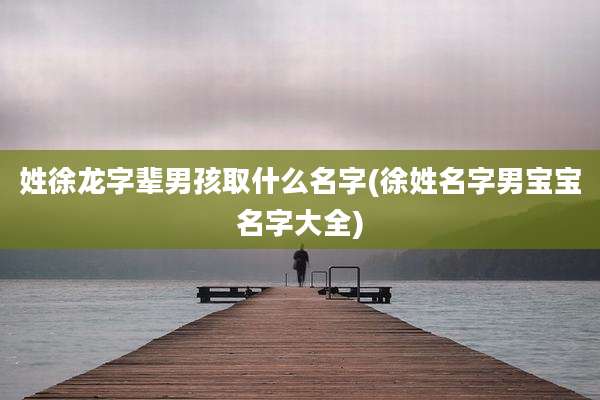 姓徐龙字辈男孩取什么名字(徐姓名字男宝宝名字大全)