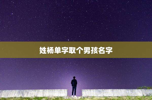 姓杨单字取个男孩名字
