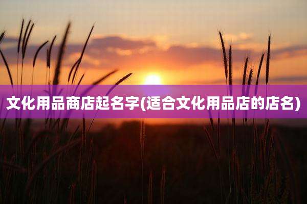 文化用品商店起名字(适合文化用品店的店名)