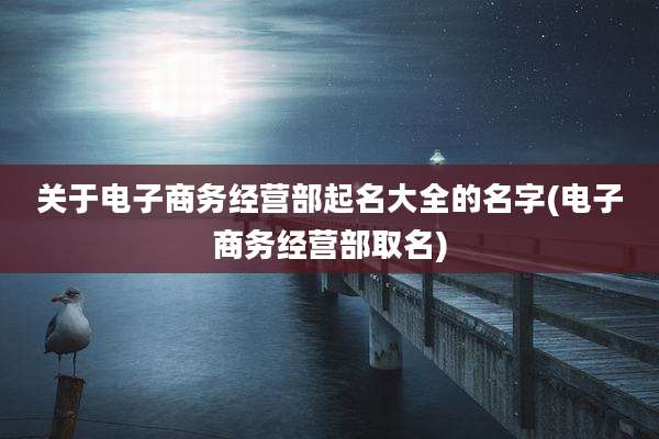 关于电子商务经营部起名大全的名字(电子商务经营部取名)
