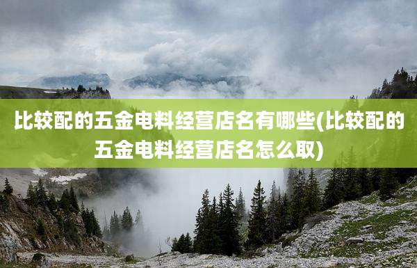 比较配的五金电料经营店名有哪些(比较配的五金电料经营店名怎么取)
