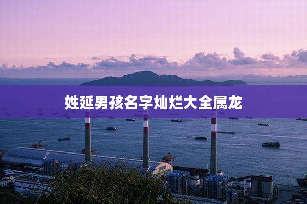 姓延男孩名字灿烂大全属龙