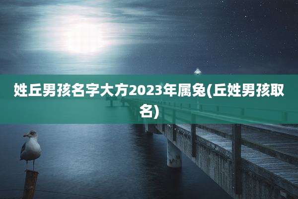 姓丘男孩名字大方2023年属兔(丘姓男孩取名)