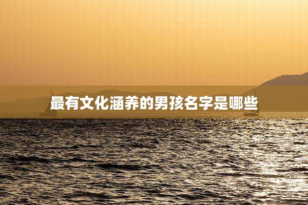 最有文化涵养的男孩名字是哪些