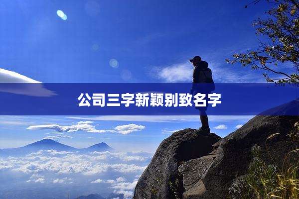 公司三字新颖别致名字