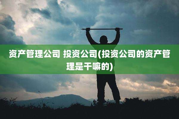 资产管理公司 投资公司(投资公司的资产管理是干嘛的)