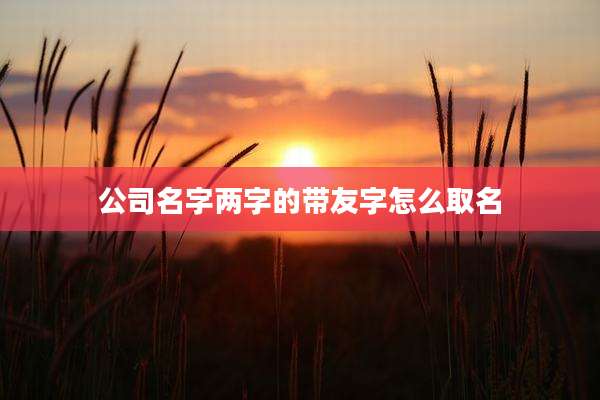 公司名字两字的带友字怎么取名
