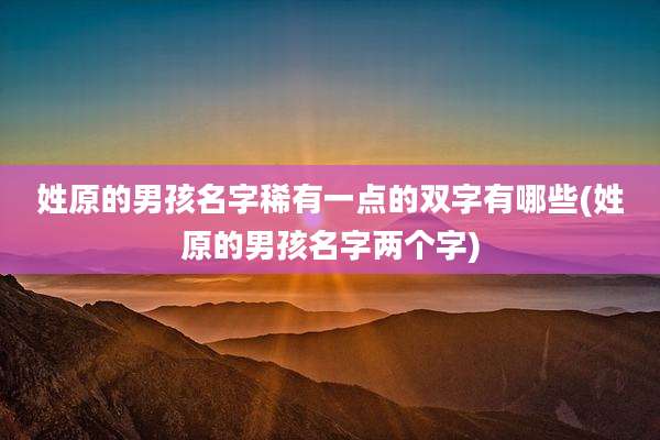 姓原的男孩名字稀有一点的双字有哪些(姓原的男孩名字两个字)