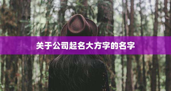 关于公司起名大方字的名字