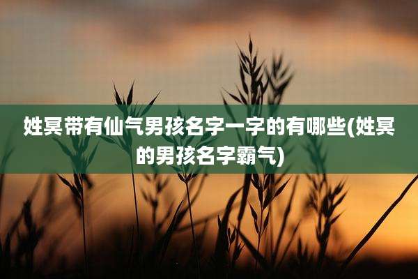 姓冥带有仙气男孩名字一字的有哪些(姓冥的男孩名字霸气)
