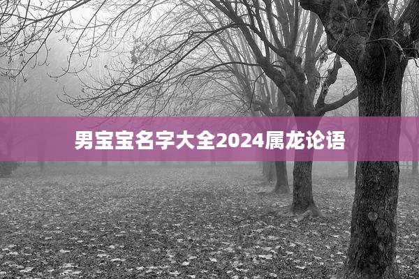 男宝宝名字大全2024属龙论语