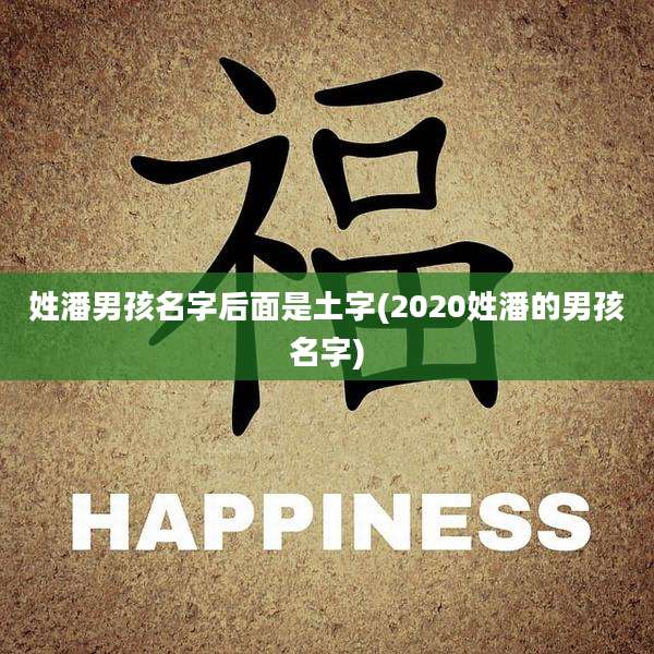 姓潘男孩名字后面是土字(2020姓潘的男孩名字)