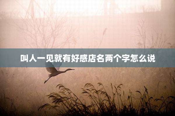 叫人一见就有好感店名两个字怎么说