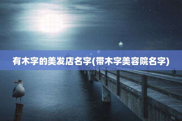 有木字的美发店名字(带木字美容院名字)