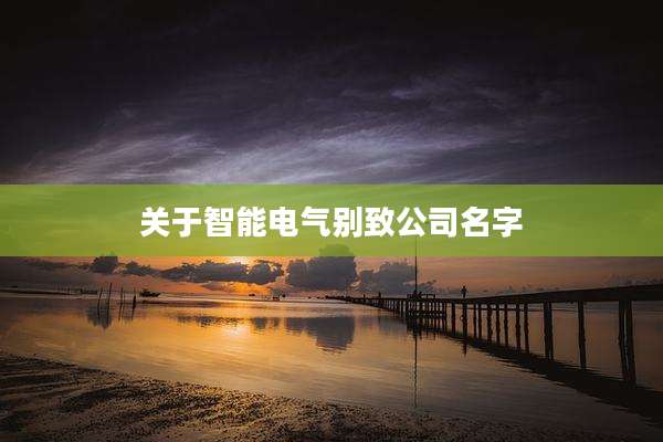 关于智能电气别致公司名字