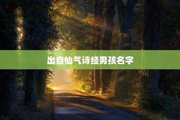 出自仙气诗经男孩名字