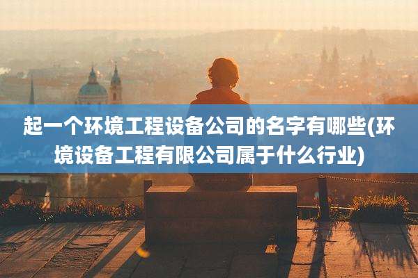 起一个环境工程设备公司的名字有哪些(环境设备工程有限公司属于什么行业)