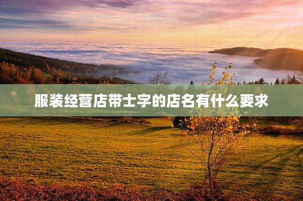 服装经营店带士字的店名有什么要求