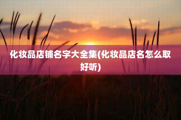 化妆品店铺名字大全集(化妆品店名怎么取好听)