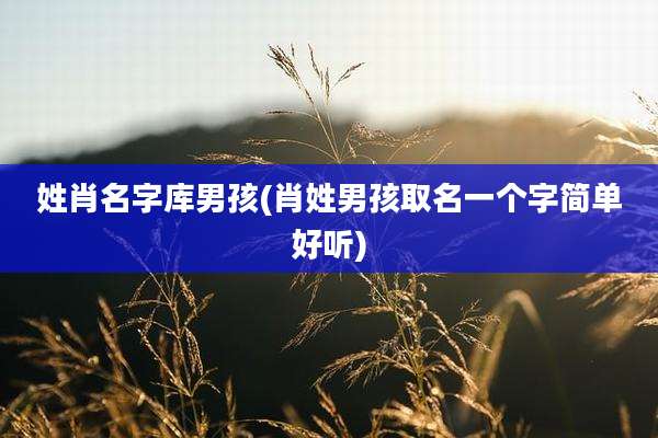 姓肖名字库男孩(肖姓男孩取名一个字简单好听)