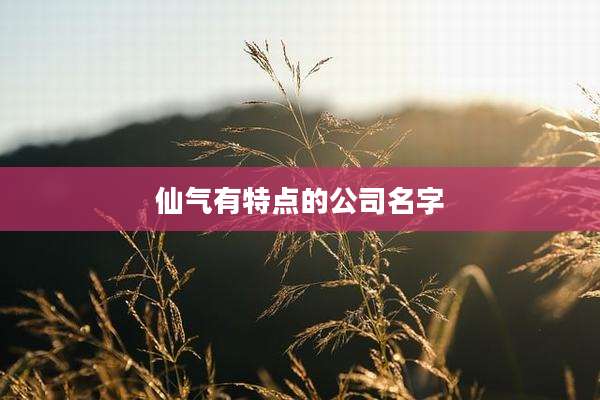 仙气有特点的公司名字